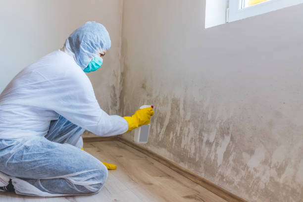 Mold inspector in Gloucester City performing thermal imaging