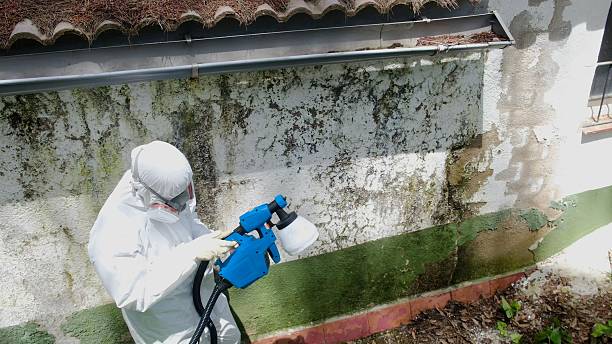 Mold Remediation service in Gloucester City, Gloucester City, NJ
